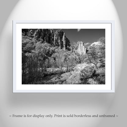 Desert Canyon Wilderness Black and White Landscape Photograph