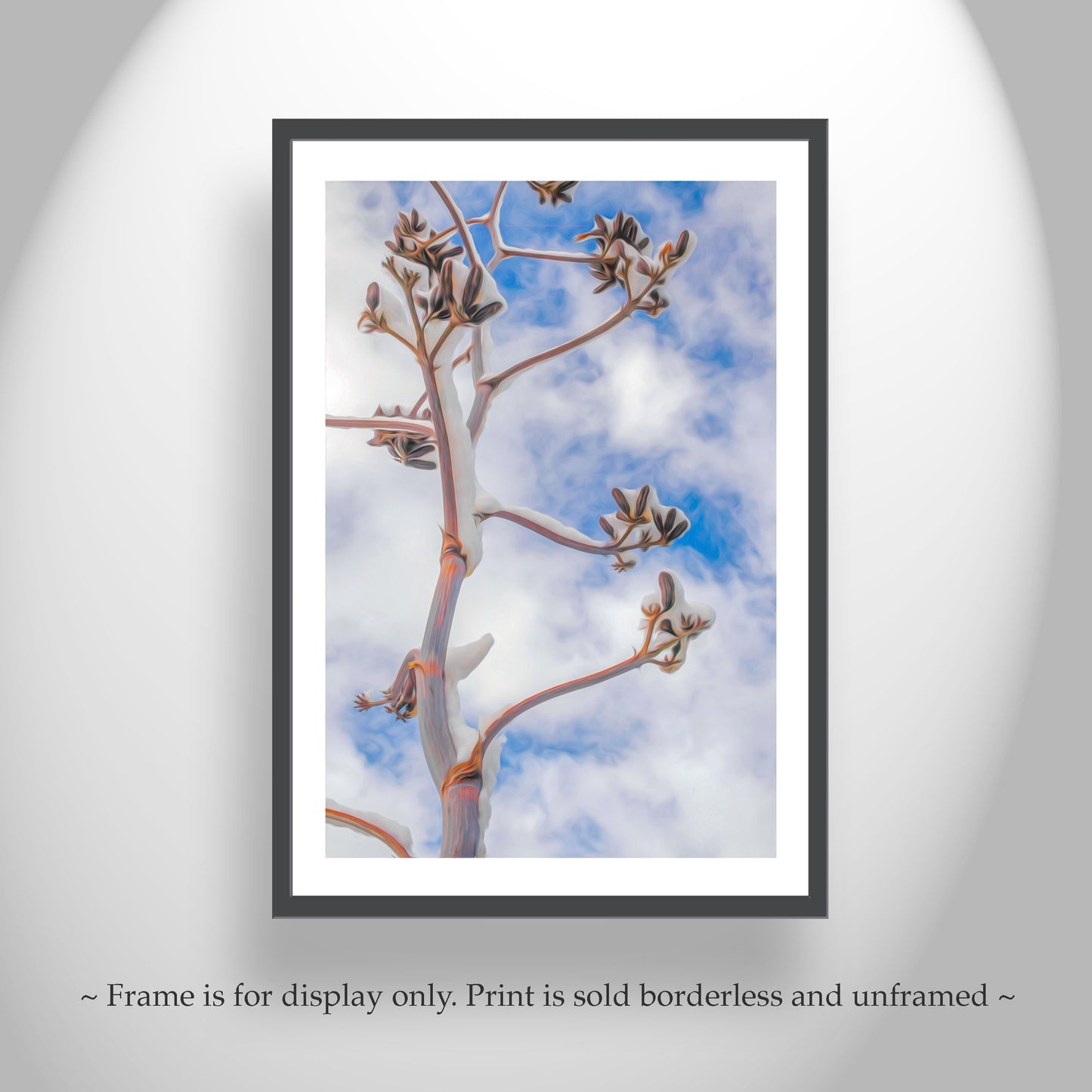 Desert Winter Art Print | Minimalist Century Plant Agave Picture