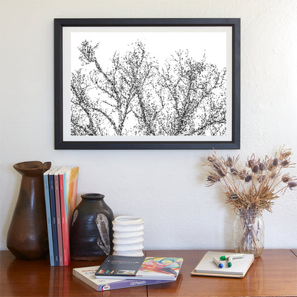 Abstract Black & White Winter Tree Art | Mexico Border Minimalist Nature