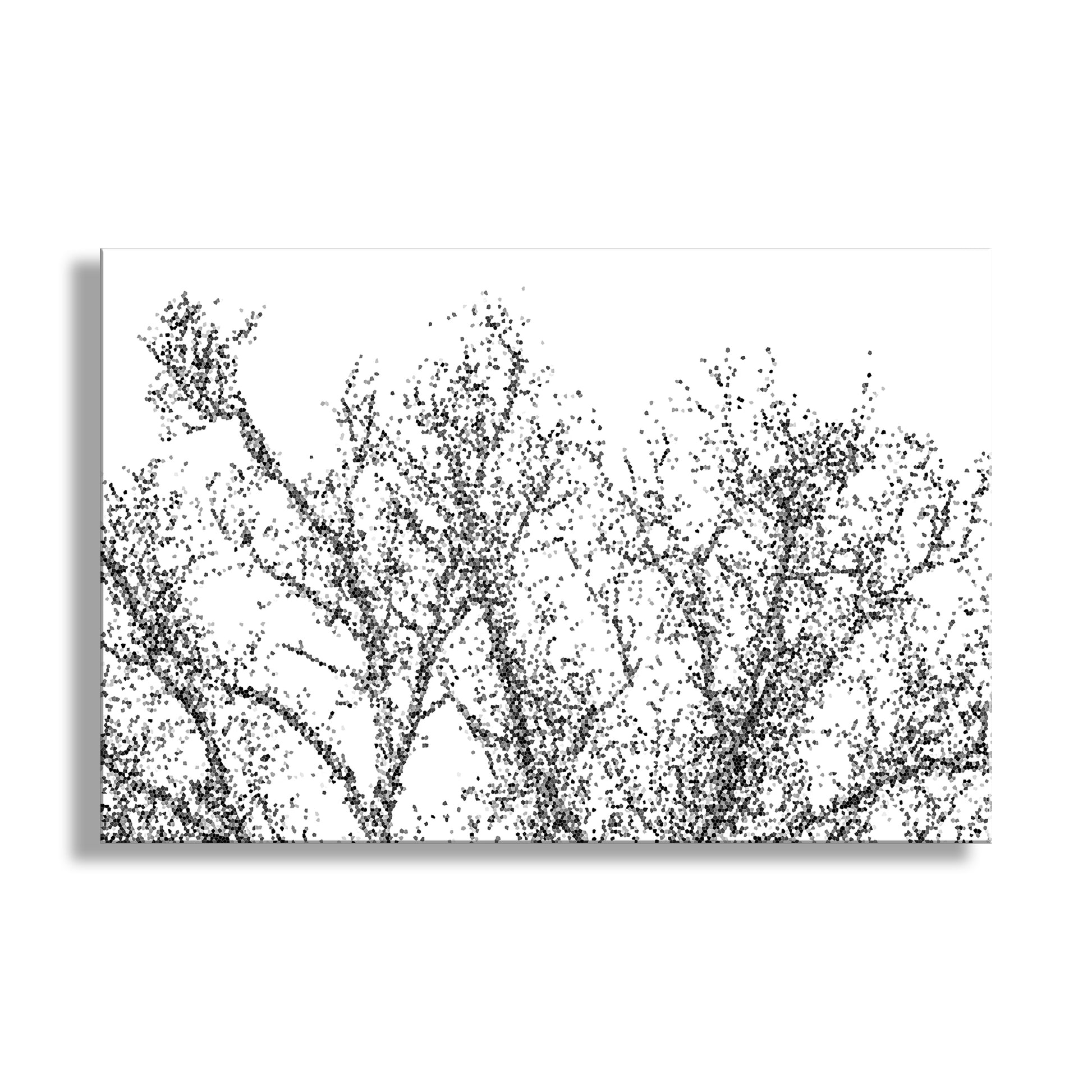 Black and white abstract digital art of tree branches on a white background. Abstract Black & White Winter Tree Art | Mexico Border Minimalist Nature