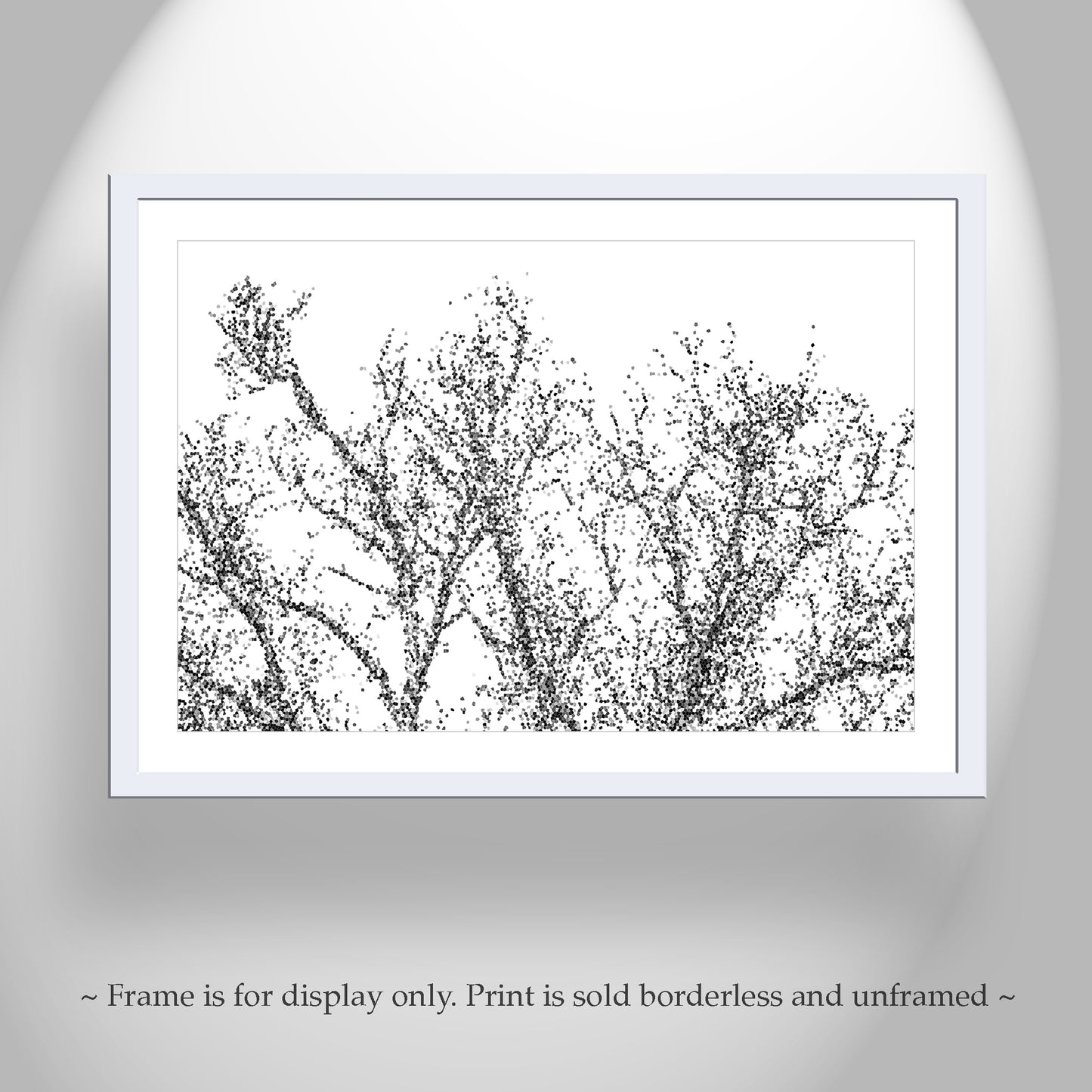 Abstract Black & White Winter Tree Art | Mexico Border Minimalist Nature