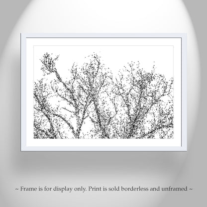 Abstract Black & White Winter Tree Art | Mexico Border Minimalist Nature