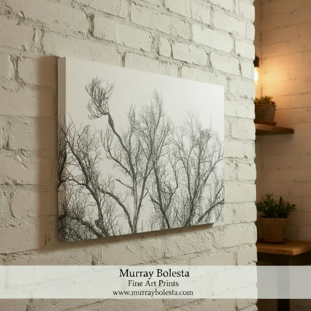 Black and White Winter Tree Print | Arizona Border Minimalist Nature