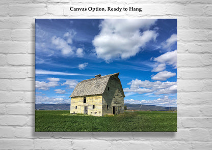Vintage Barn Picture on Norcal Farm Landscape as Wall Art