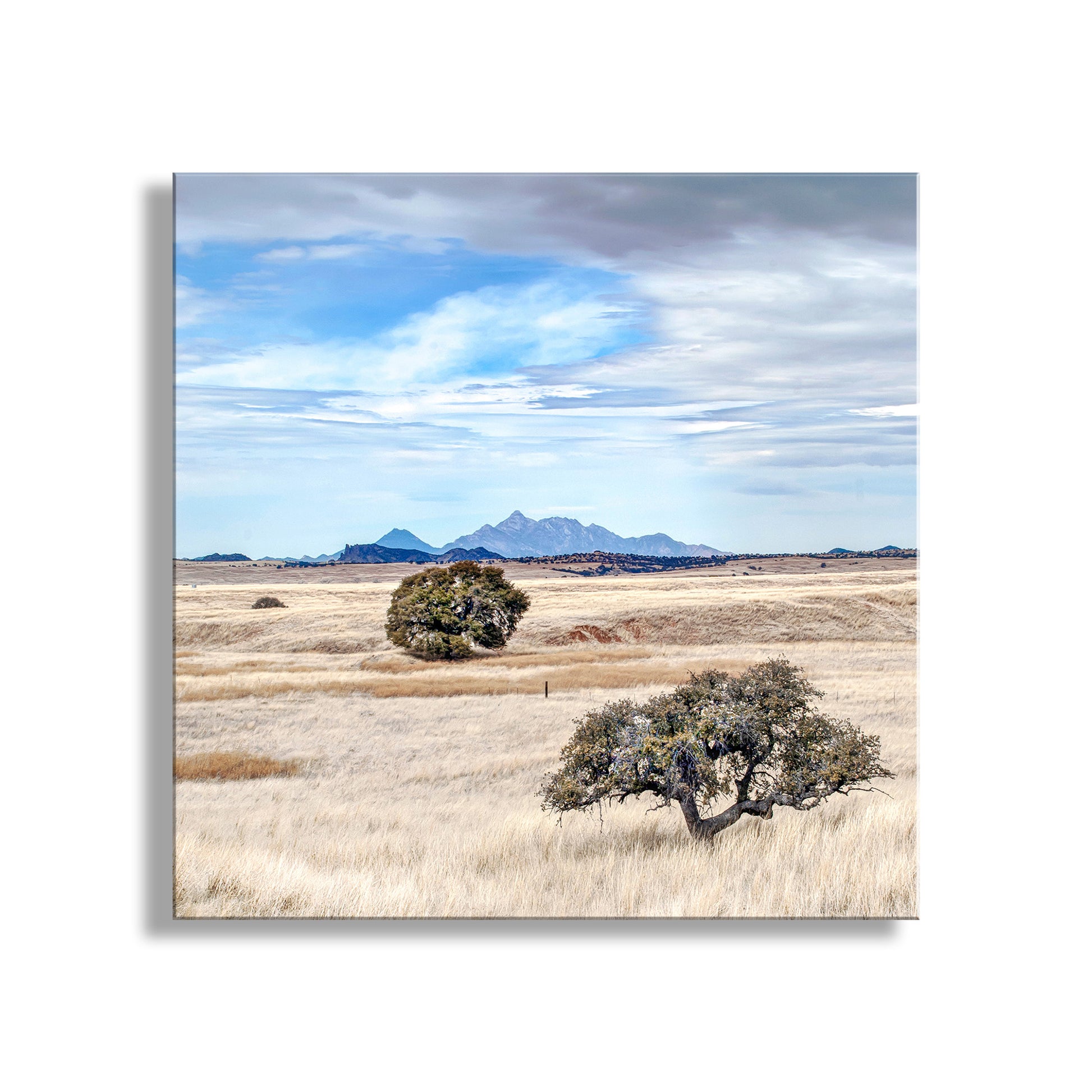 Scenic landscape with trees and mountains under a blue sky. Ranch Country Landscape Art | Prairie Grasslands at San Rafael Valley AZ