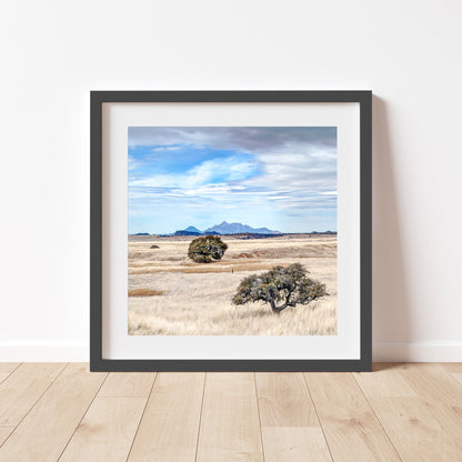 Ranch Country Landscape Art | Prairie Grasslands at San Rafael Valley AZ