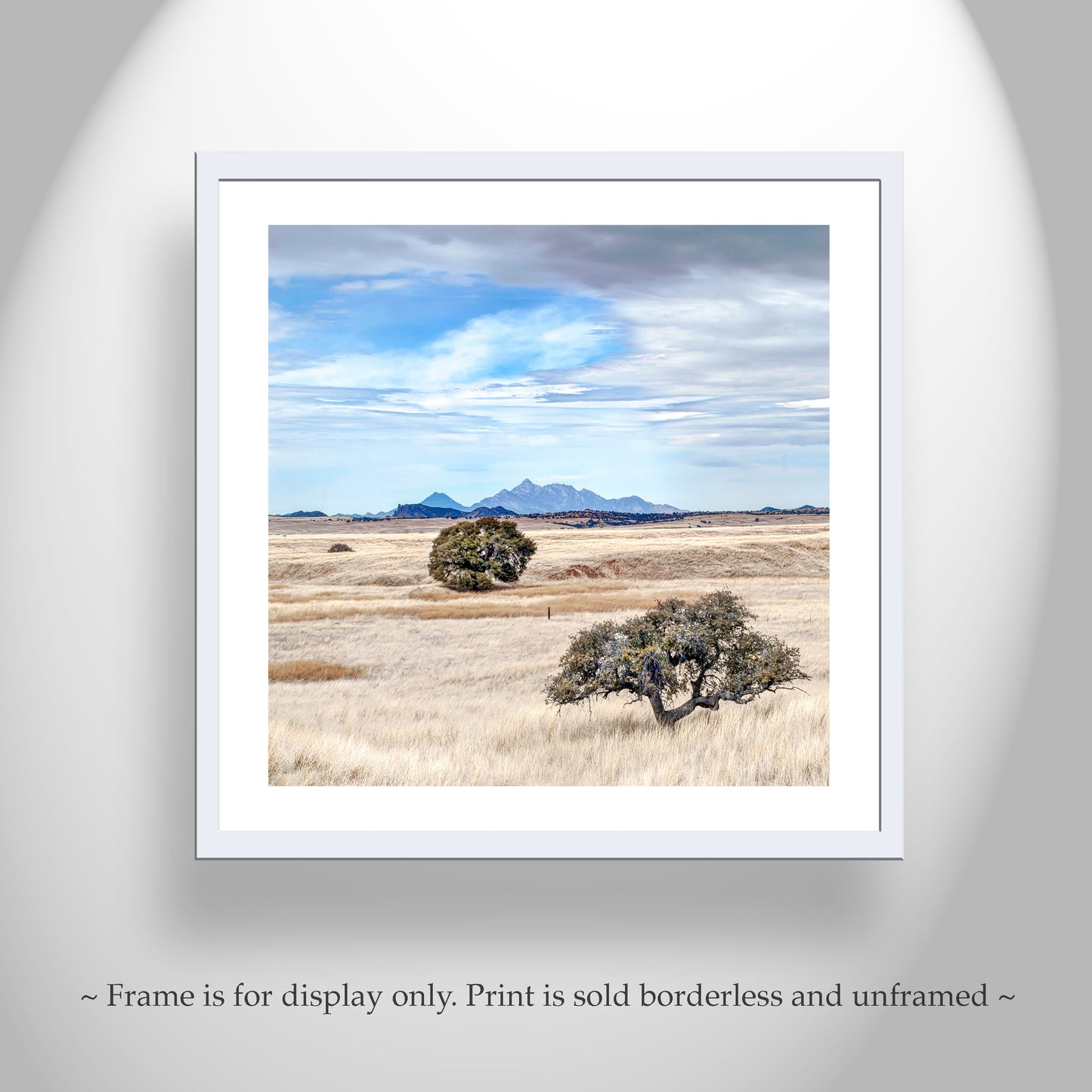 Ranch Country Landscape Art | Prairie Grasslands at San Rafael Valley AZ