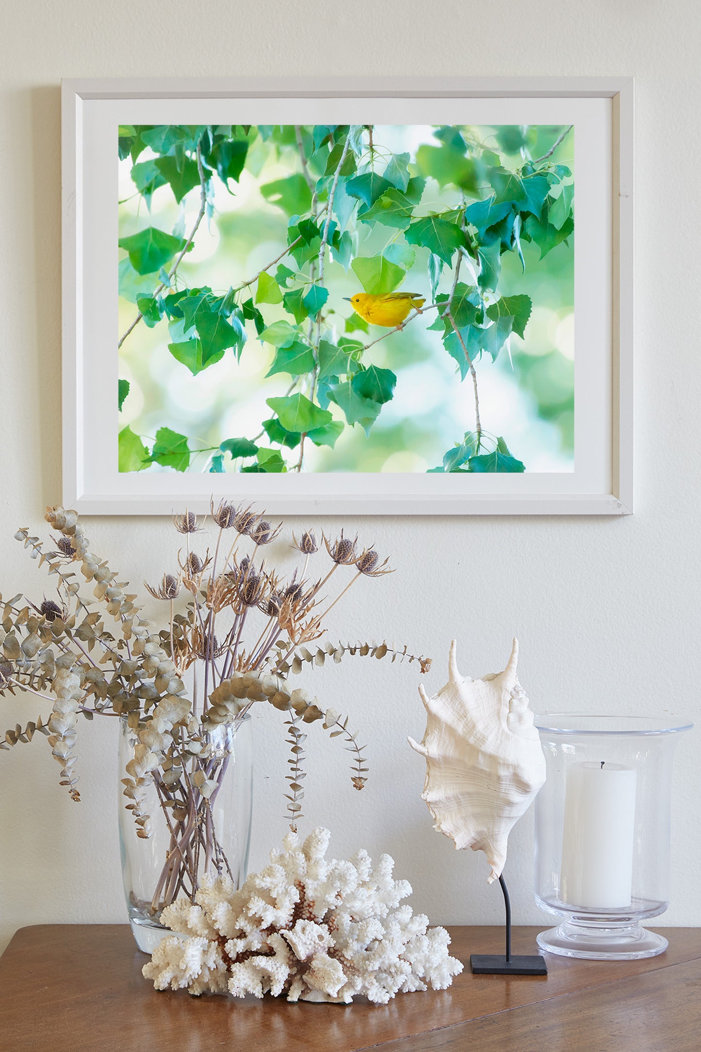 Warbler Bird Photo Art in Spring Nature Cottonwood Tree