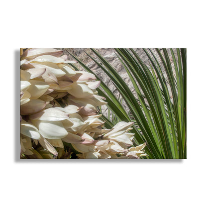 Desert Yucca Flower Art | Botanical Southwest Style Wall Decor