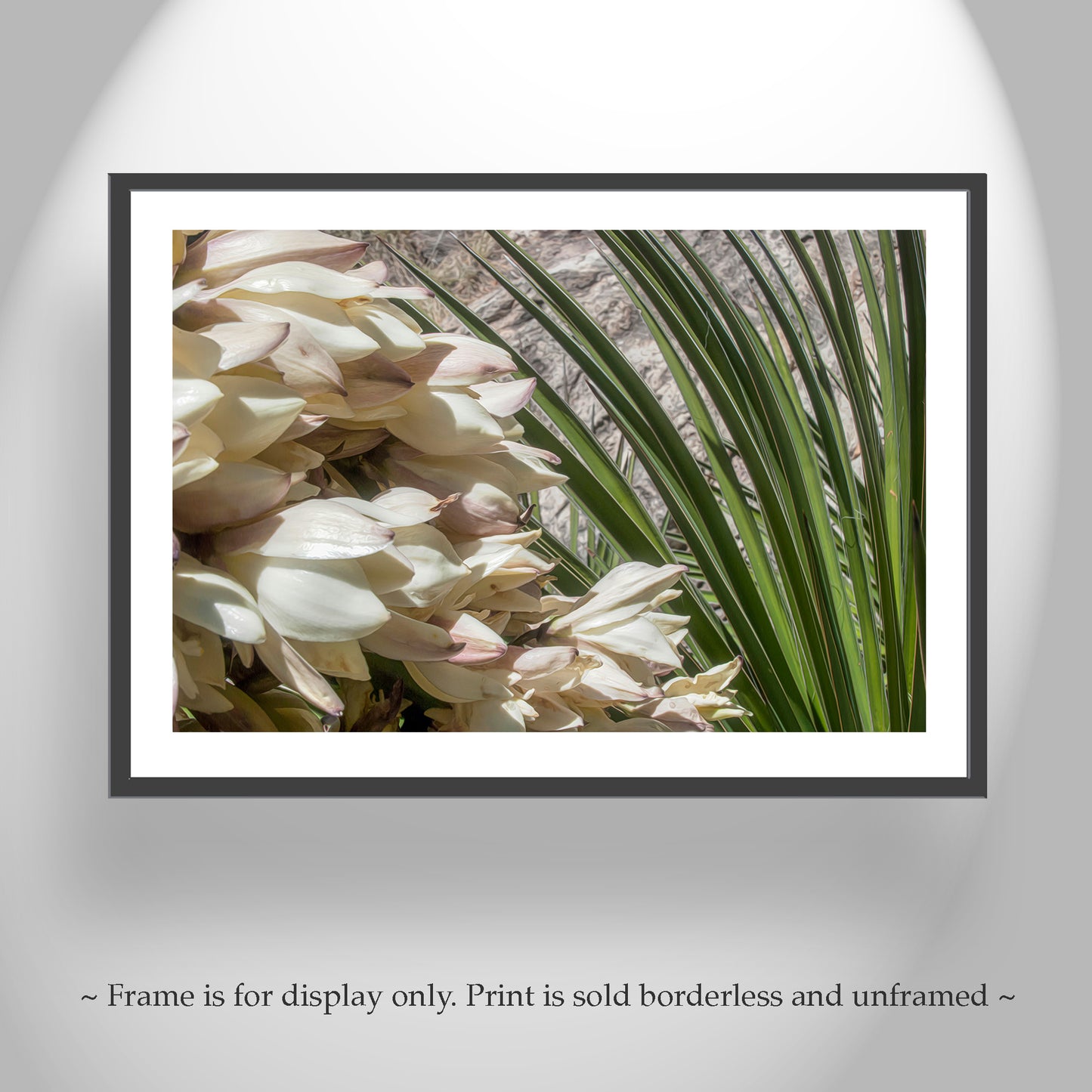 Desert Yucca Flower Art | Botanical Southwest Style Wall Decor