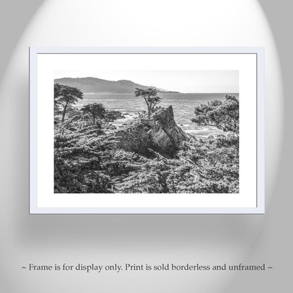Lone Cypress Carmel by the Sea Art at Pebble Beach California