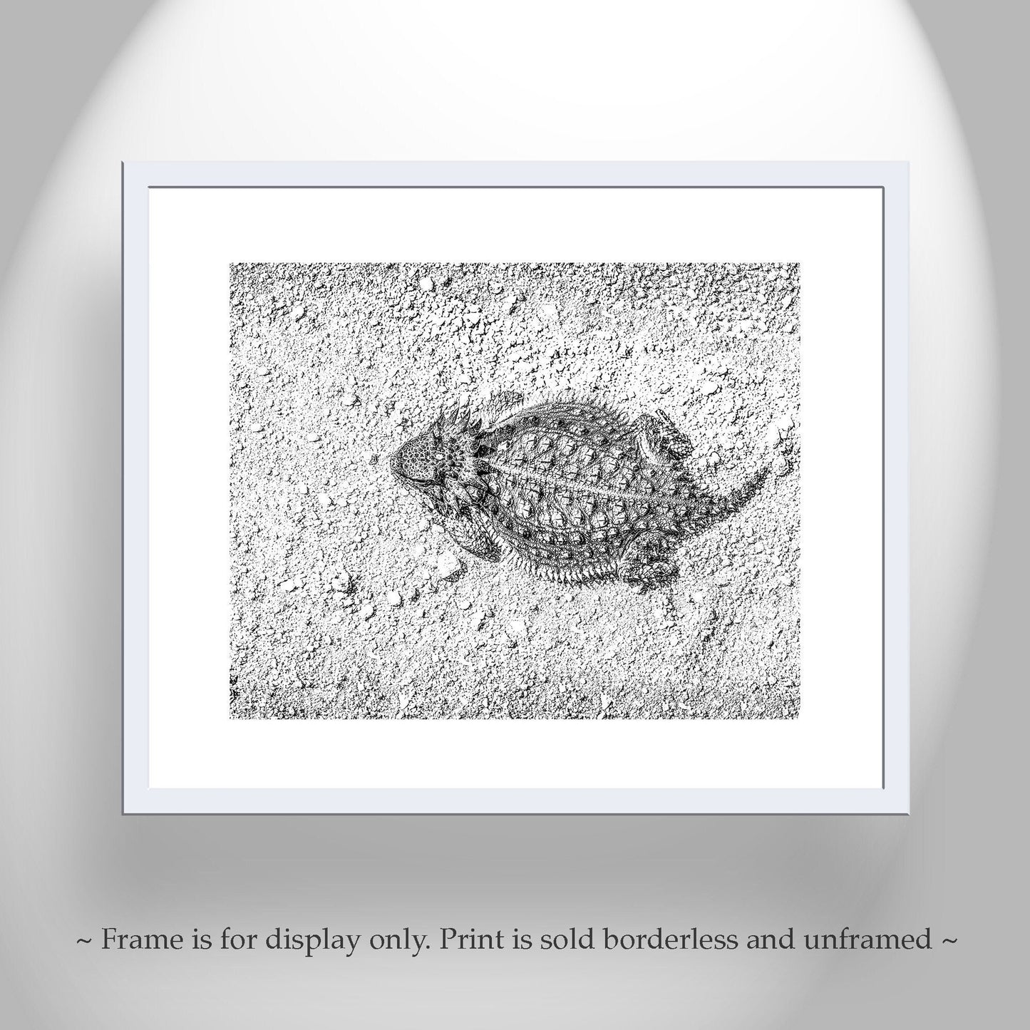 Desert Horned Lizard Wall Art | Arizona Wildlife Art Print