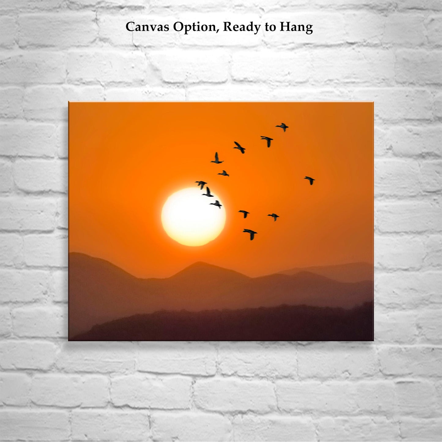 Flying Birds at Sunset – Arizona Desert Landscape Fine Art Print