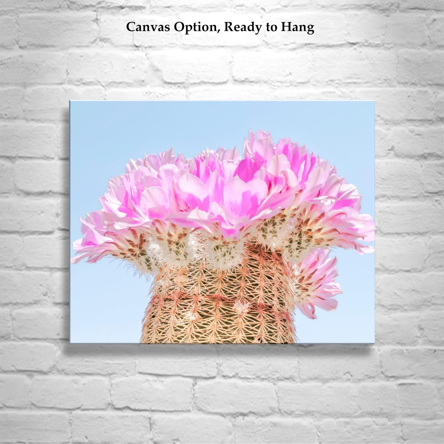 Southwest Cactus Blossom Art – Pink and Magenta Wall Decor Print