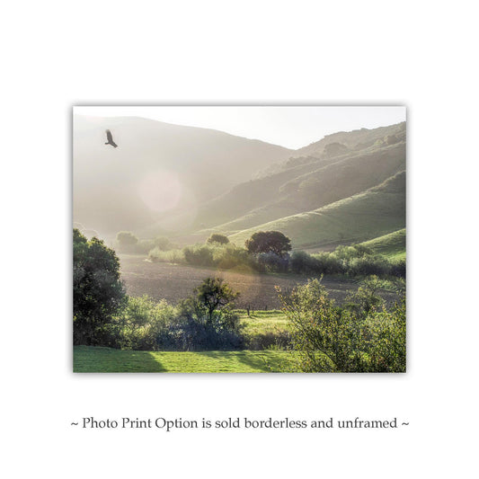 California Farm Landscape Art Print | Lompoc Countryside Photograph with Hawk Bird in Flight