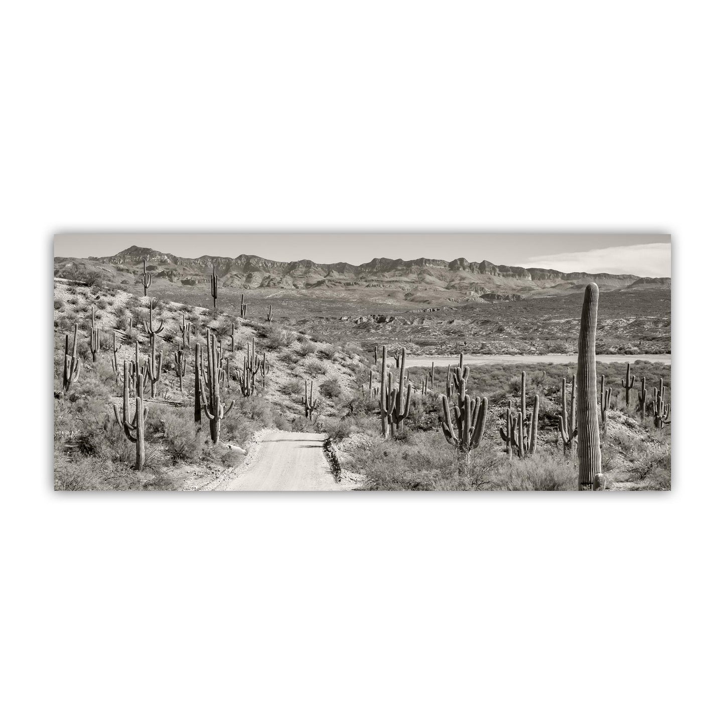 Redington Pass Desert Road with Saguaro – Tucson Art Photograph