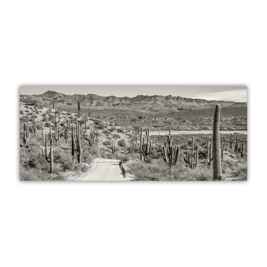 Redington Pass Desert Road with Saguaro – Tucson Art Photograph