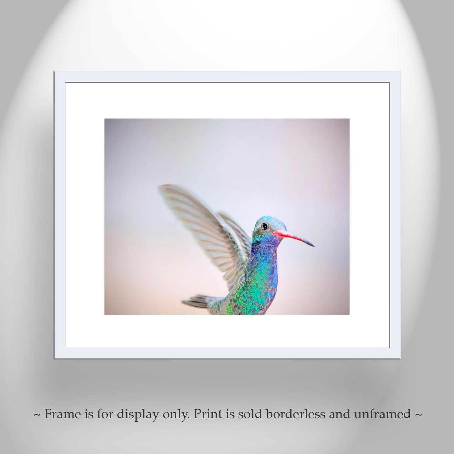 Hummingbird Art Print as Pastel Minimalist Bird Art
