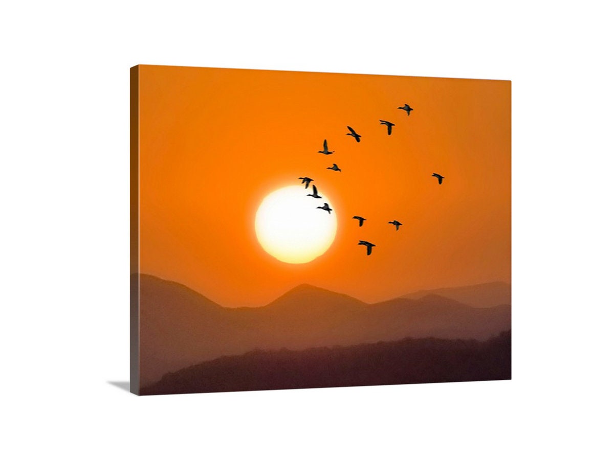 Flying Birds at Sunset – Arizona Desert Landscape Fine Art Print