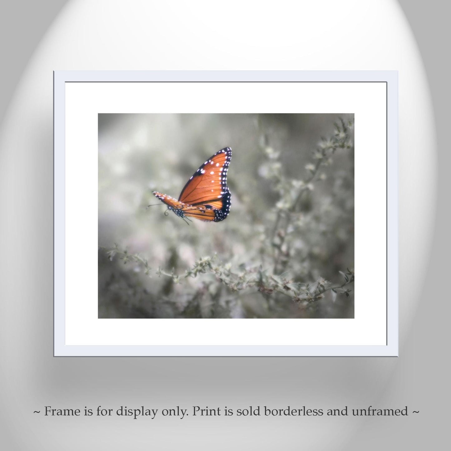 Queen Butterfly in Flight – Dreamy Nature Wall Art