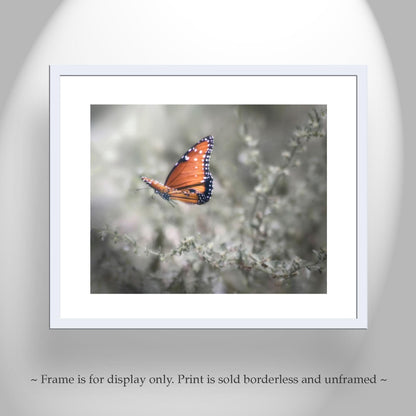 Queen Butterfly in Flight – Dreamy Nature Wall Art
