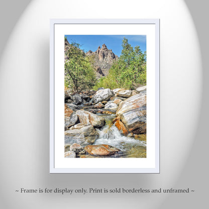 Sabino Canyon Tucson Arizona Landscape Photograph