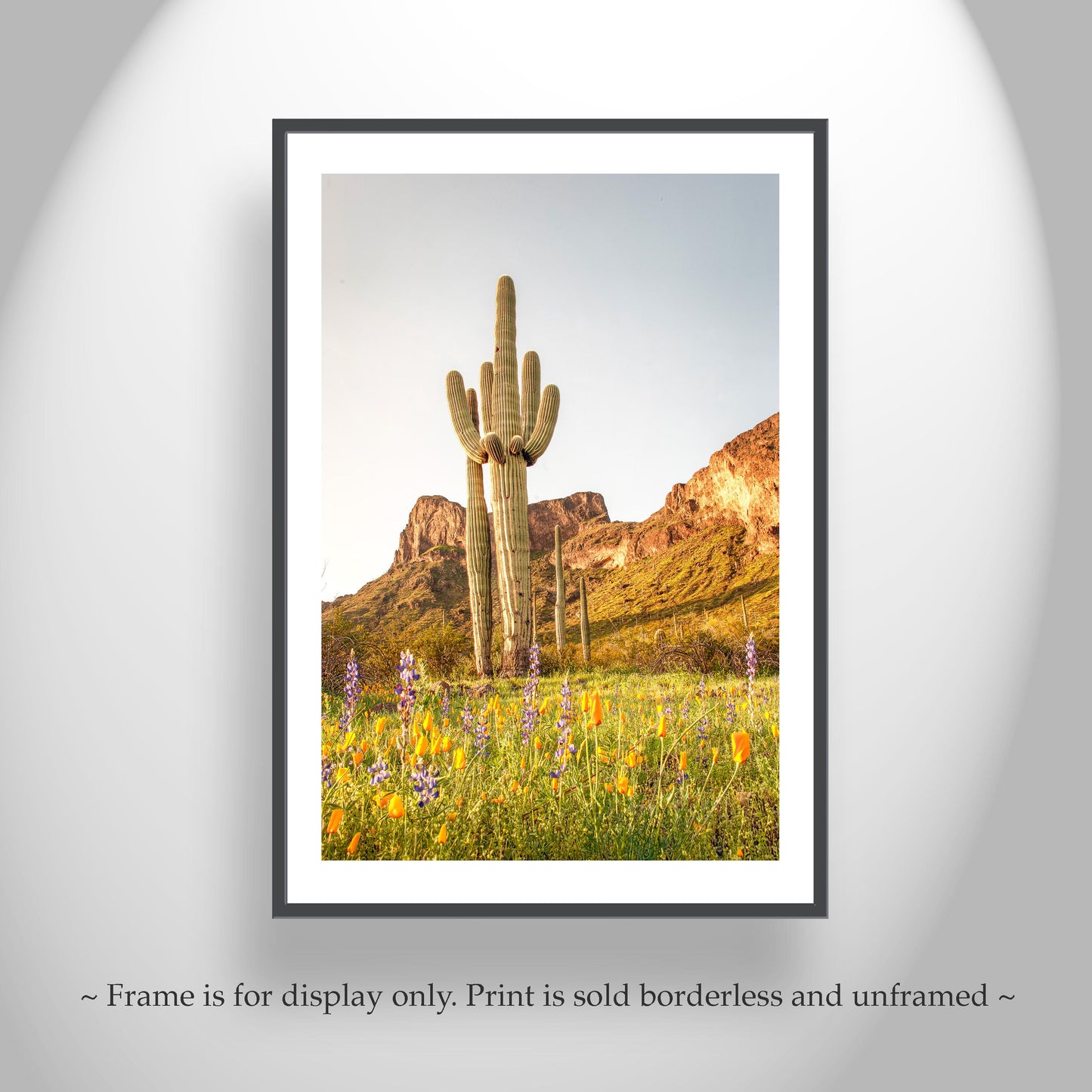 Tucson Landscape with Saguaro Cactus and Picacho Peak Desert View