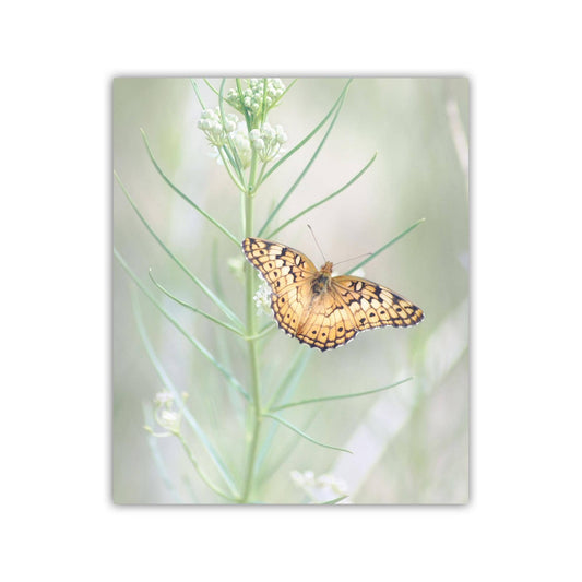 Golden Fritillary Butterfly on Milkweed – Elegant Insect Wall Art