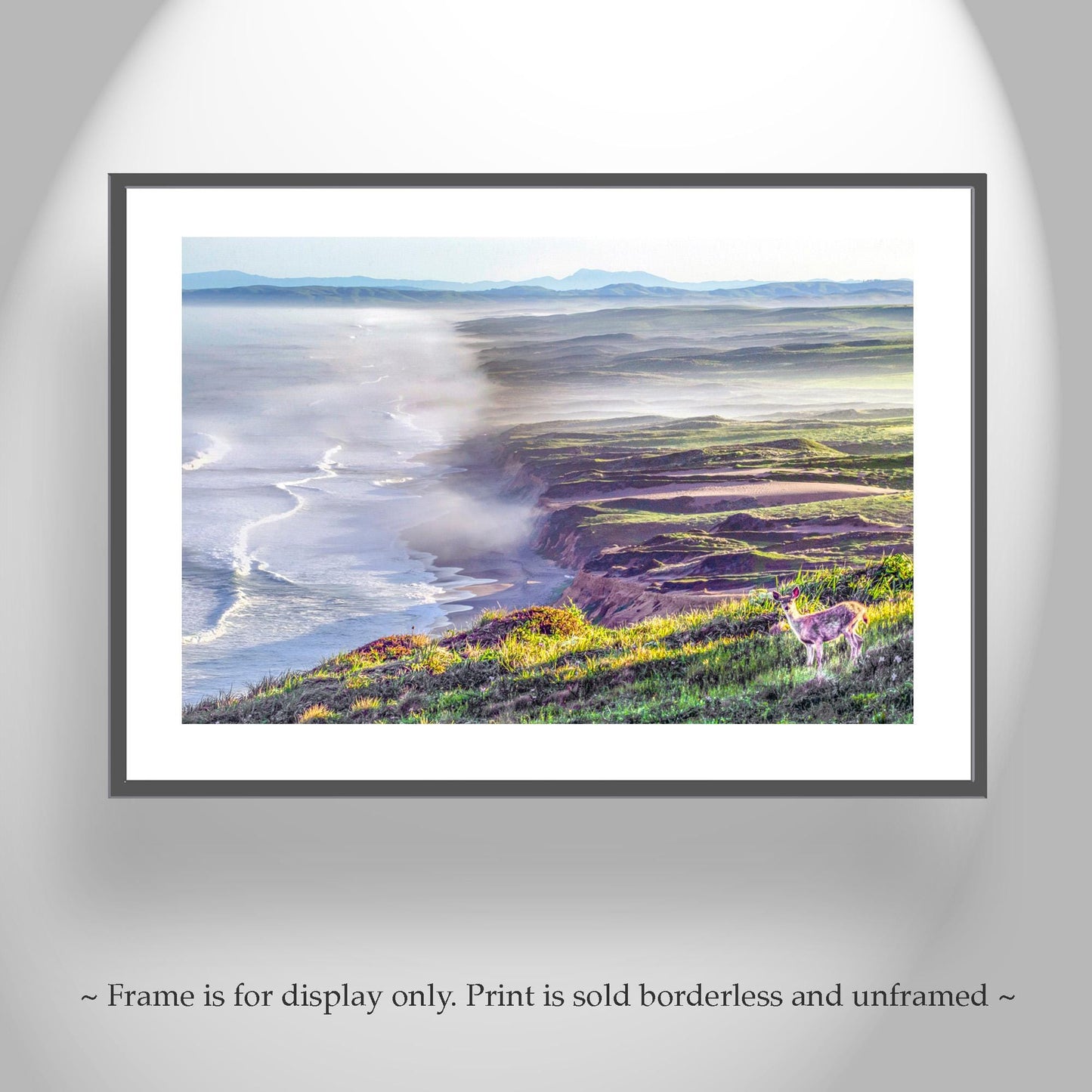 Point Reyes Print with Marin County Beach and Wild Deer