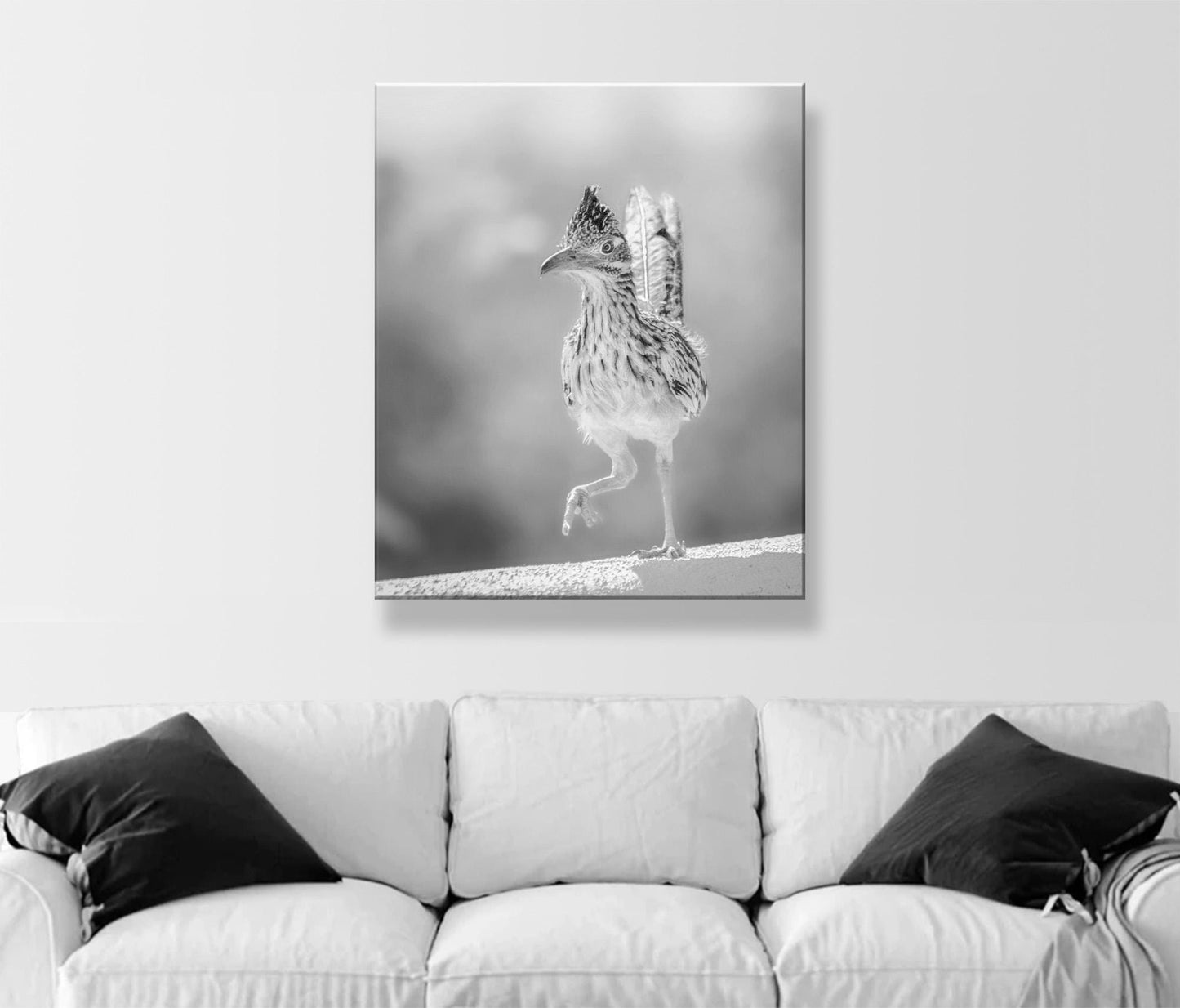 Desert Roadrunner Bird Art – Black and White Arizona Wildlife Print