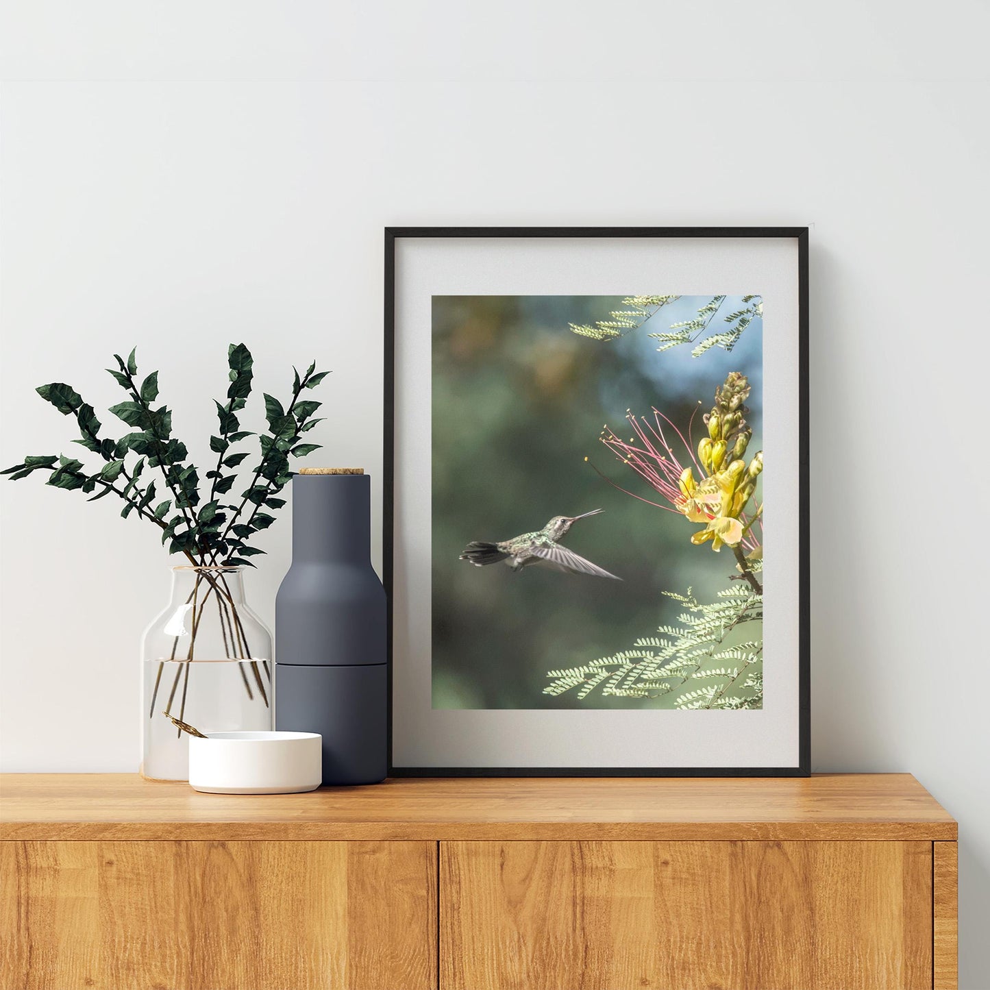 Hummingbird Artwork Art Print with Bird in Flight | Tucson Arizona Birds
