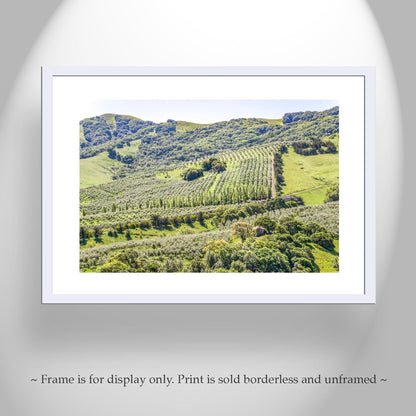 Napa Valley Vineyard Print – Rustic California Wine Country Decor