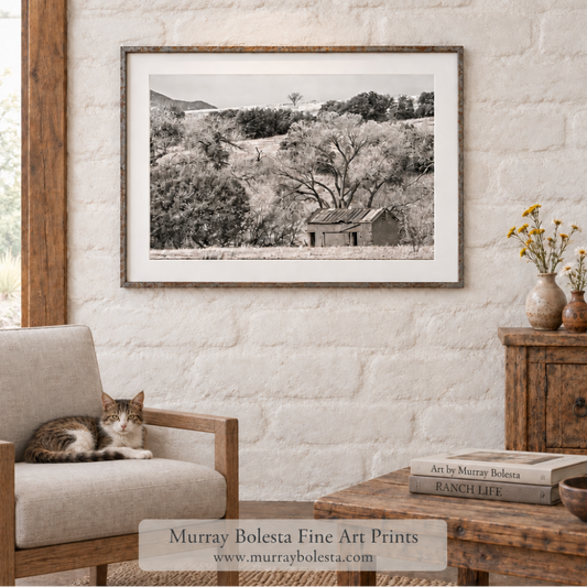 Adobe-barn at Mexico border by Murray Bolesta