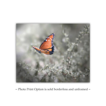 Queen Butterfly in Flight – Dreamy Nature Wall Art