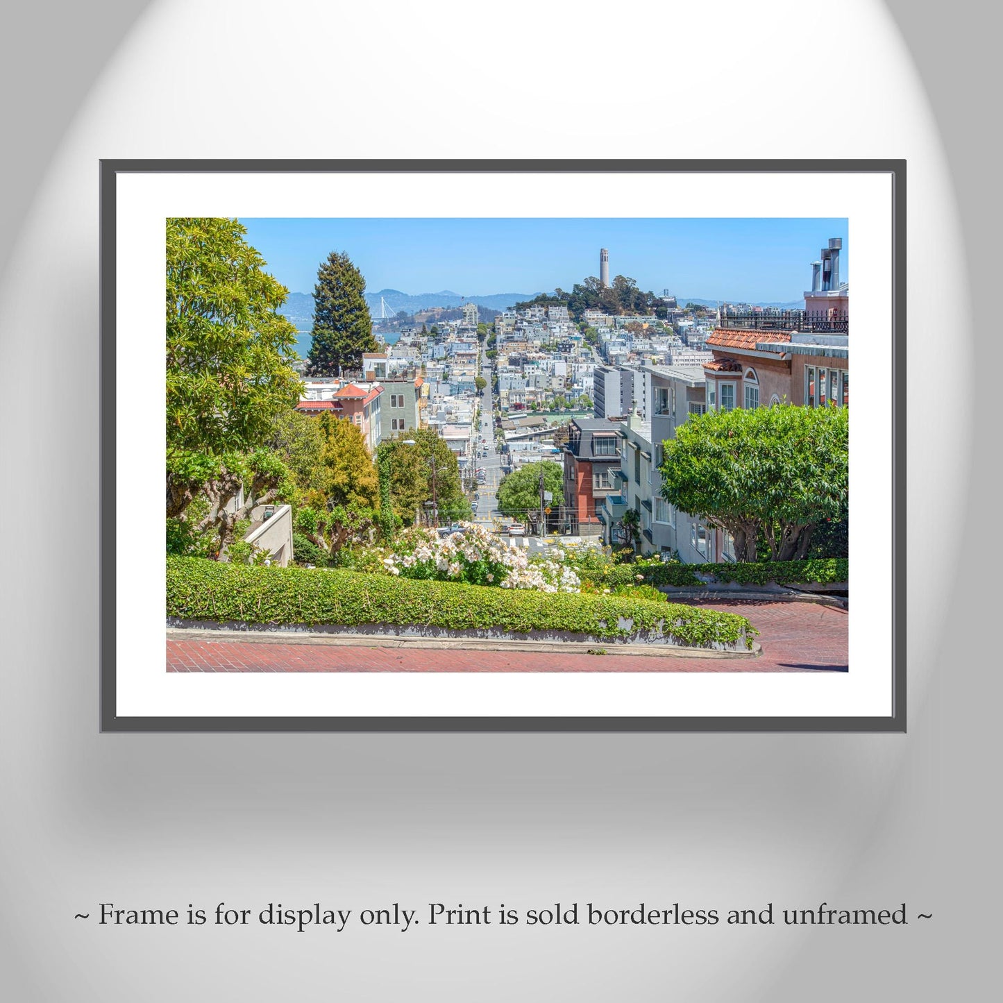 Lombard Street & Coit Tower San Francisco Cityscape Wall Art