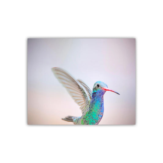 Hummingbird Art Print as Pastel Minimalist Bird Art
