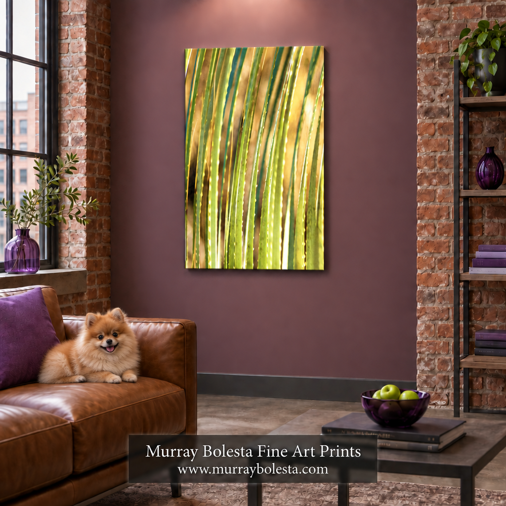 agave botanical art by Murray Bolesta