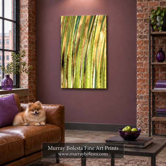 agave botanical art by Murray Bolesta
