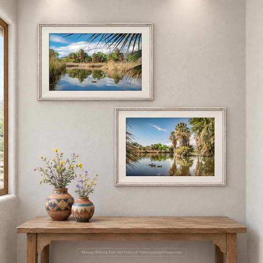 Agua Caliente Park desert oasis artwork in Tucson Arizona, by Murray Bolesta