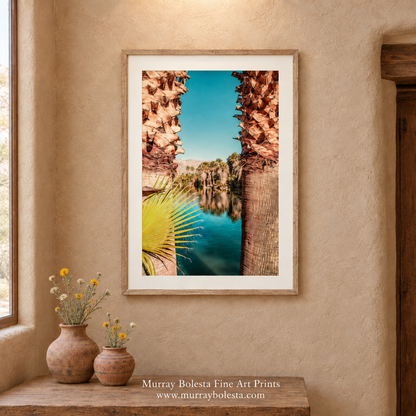 Agua Caliente Regional Park in Tucson Arizona artwork by Murray Bolesta!