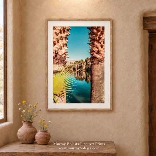 Agua Caliente Regional Park in Tucson Arizona artwork by Murray Bolesta!