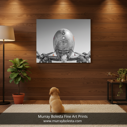 A square wall art print showing a black-and-white close-up of an airplane nose and cockpit, displayed on a wood-paneled wall above a small dog in a living room setting. A lamp, plant, side table, and rug are visible, with a watermark banner at the bottom reading Murray Bolesta Fine Art Prints and the website. vintage aviation art by Murray Bolesta!