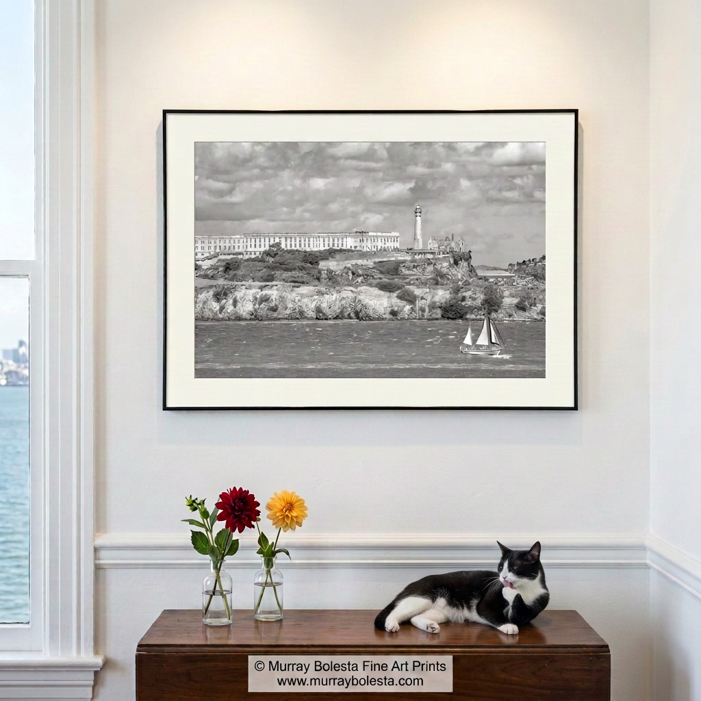 Alcatraz Island with sailboat in black & white by Murray Bolesta!