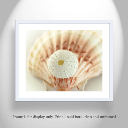Sea Urchin and Seashell Beach Themed Wall Art for Home or Bath in Ivory