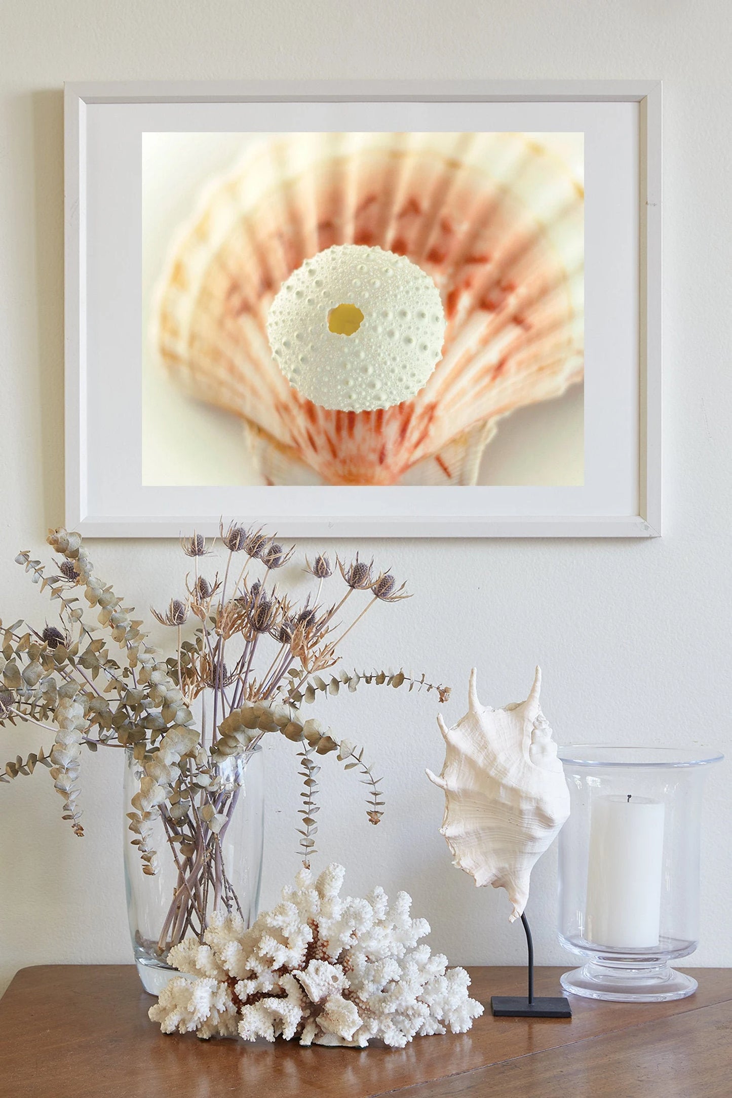 Sea Urchin and Seashell Beach Themed Wall Art for Home or Bath in Ivory