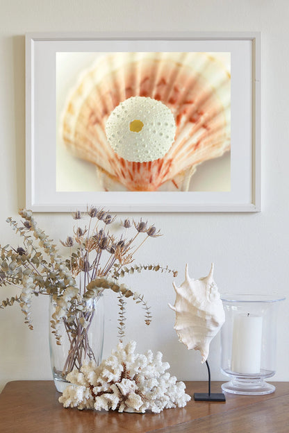 Sea Urchin and Seashell Beach Themed Wall Art for Home or Bath in Ivory