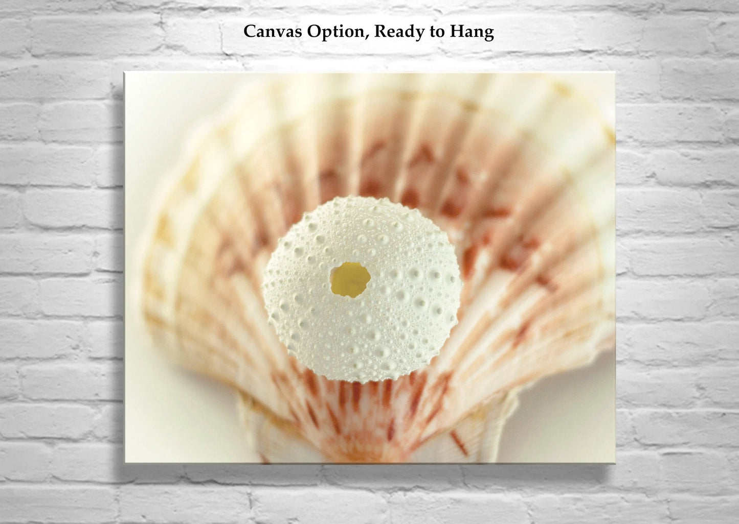 Sea Urchin and Seashell Beach Themed Wall Art for Home or Bath in Ivory