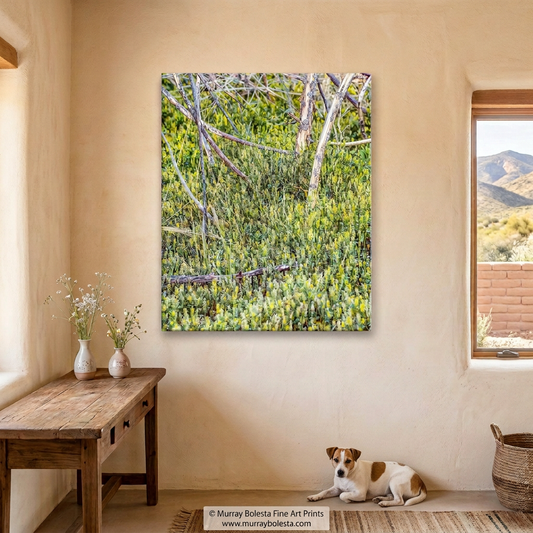 Arivaca Arizona Cienega wildflowers, art print by Murray Bolesta