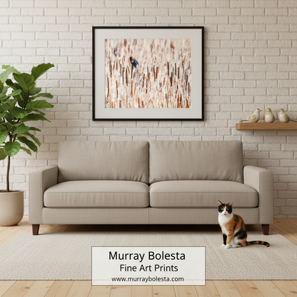 Arivaca Cienaga! A framed fine art print by Murray Bolesta featuring a small blackbird perched on a field of tall beige reeds, displayed on a white brick wall above a light beige sofa in a styled living room with a cat on the rug.