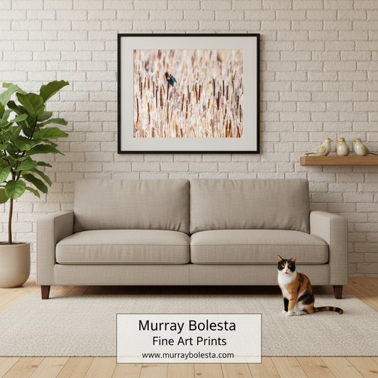 Arivaca Cienaga! A framed fine art print by Murray Bolesta featuring a small blackbird perched on a field of tall beige reeds, displayed on a white brick wall above a light beige sofa in a styled living room with a cat on the rug.